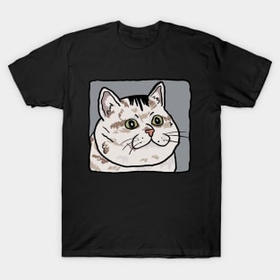 Sad cat T-Shirt